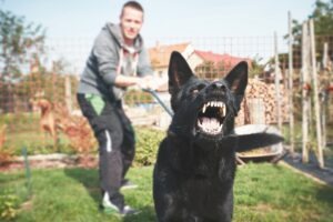 Stillwater Dog Owner Restraining Dog On Leash